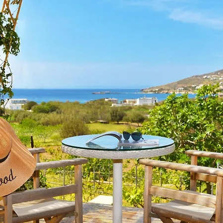 Good Life Greece Eco Villa Posidhonia (Syros)