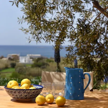 Good Life Greece Eco Posidhonia (Syros)