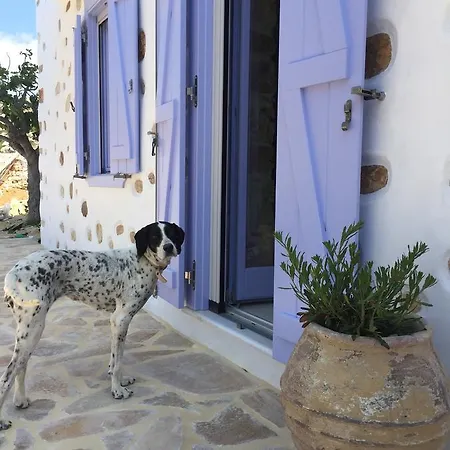 Good Life Greece Eco Posidhonia (Syros)