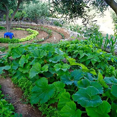 Good Life Greece Eco * Posidhonia (Syros)